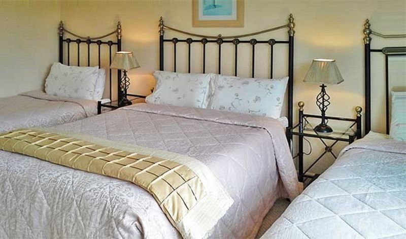Fern Rock Bed And Breakfast Dromin Eksteriør billede