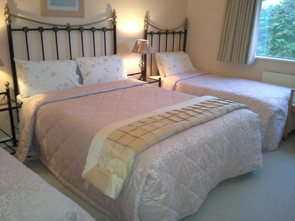 Fern Rock Bed And Breakfast Dromin Værelse billede